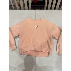 Hollister Co Cottagecore Fairycore Baby Pastel Pink Embroidered Sweater Sz S